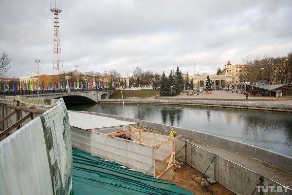 Анютины глазки, примулы, рододендрон. Что цветет в ботаническом саду в середине января