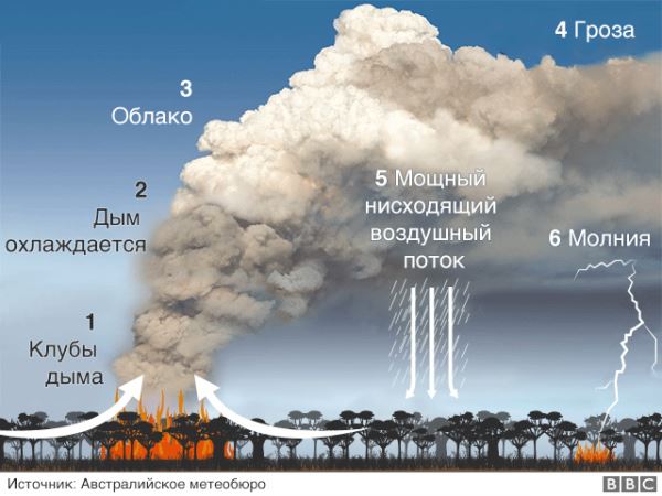 Огонь от молний и молнии от огня. Пожары в Австралии замкнулись в порочный круг