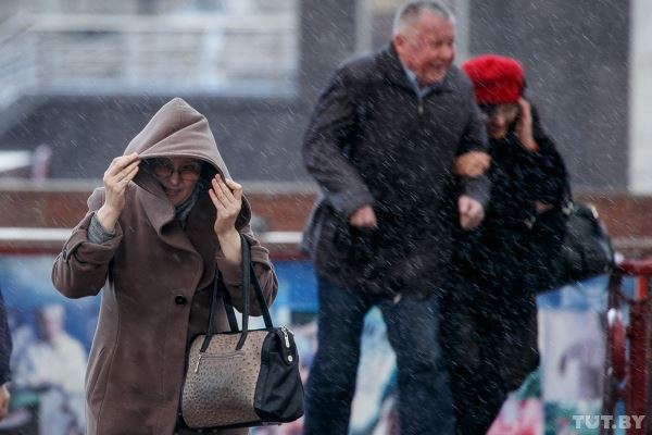 Штормовое предупреждение по Беларуси объявлено на ближайшие дни